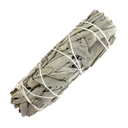 White Sage Smudge - Bundle 6" - HAWI SHOPPING